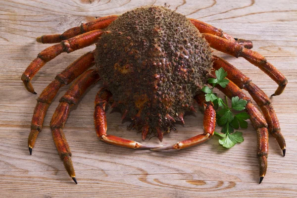 Skaldjur (centolla, krabba) — Stockfoto