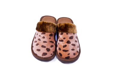 güzel bir ev terlik