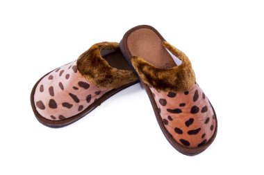 güzel bir ev terlik