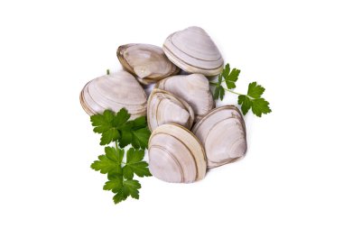 Deniz ürünleri, beyaz izole istiridye