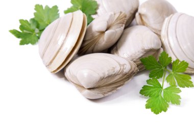 Deniz ürünleri, beyaz izole istiridye