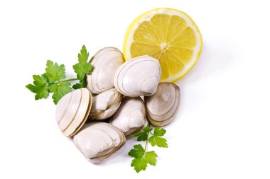 Deniz ürünleri, beyaz izole istiridye