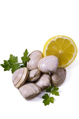 Deniz ürünleri, beyaz izole istiridye