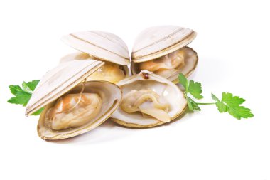  seafood, isolated tasty clams clipart