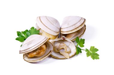  Deniz ürünleri, izole lezzetli istiridye