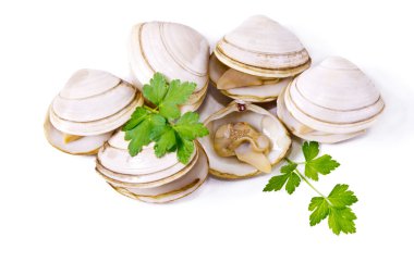  Deniz ürünleri, izole lezzetli istiridye