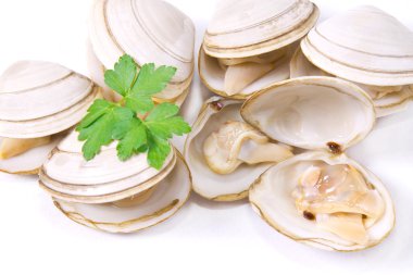  Deniz ürünleri, izole lezzetli istiridye