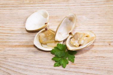 Deniz ürünleri, deniz tarağı ahşap arka plan üzerinde