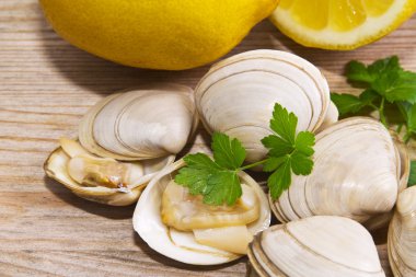 Deniz ürünleri, deniz tarağı ahşap arka plan üzerinde