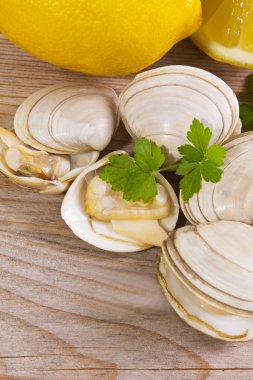 Deniz ürünleri, deniz tarağı ahşap arka plan üzerinde