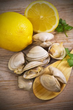 Deniz ürünleri, deniz tarağı ahşap arka plan üzerinde