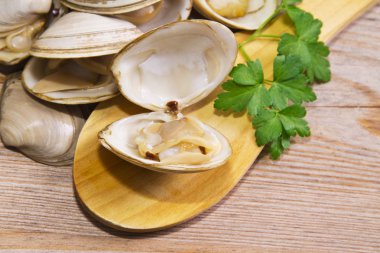 Deniz ürünleri, deniz tarağı ahşap arka plan üzerinde