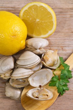 Deniz ürünleri, izole lezzetli istiridye