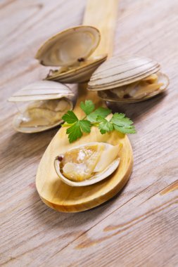 Deniz ürünleri, deniz tarağı ahşap arka plan üzerinde