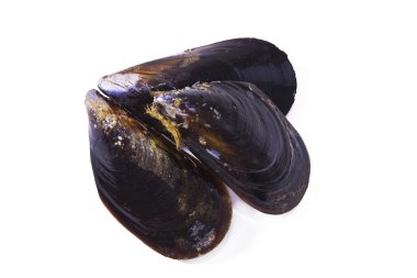 Deniz ürünleri, beyaz izole midye