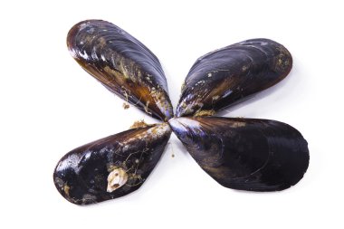 Deniz ürünleri, beyaz izole midye