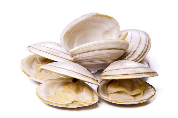  морепродукты, изолированные вкусные моллюски
