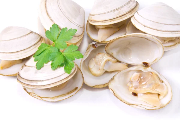  Deniz ürünleri, izole lezzetli istiridye