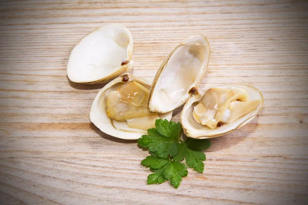 Frutos do mar, amêijoas em fundo de madeira — Fotografia de Stock