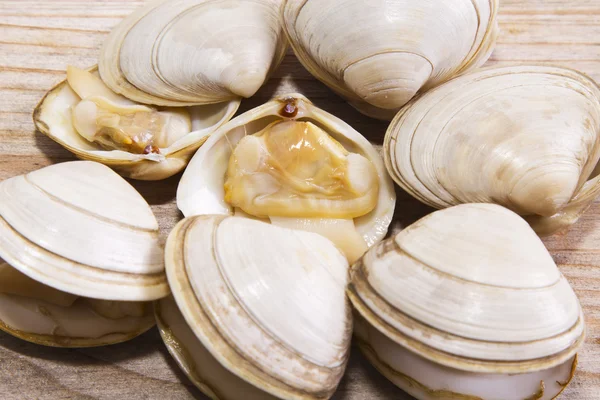 Frutti di mare, vongole gustose isolate — Foto Stock