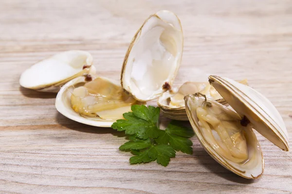 Frutti di mare, vongole su sfondo di legno — Foto Stock