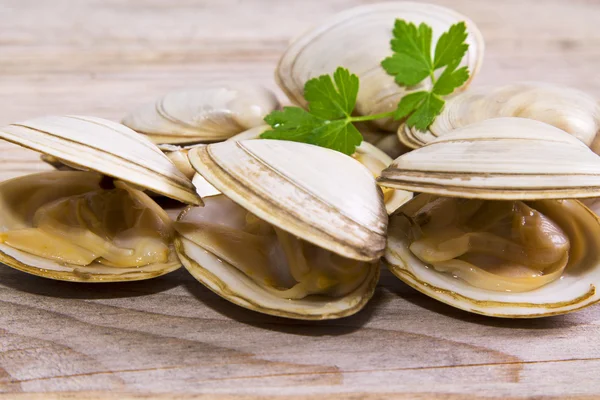 Meeresfrüchte, Venusmuscheln auf Holzgrund — Stockfoto