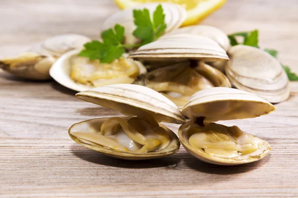 Mariscos, almejas sobre fondo de madera —  Fotos de Stock