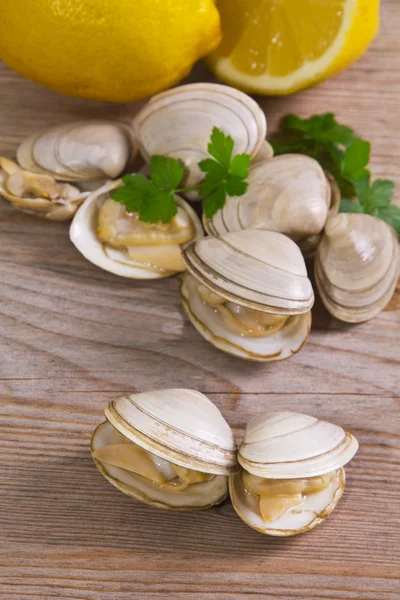 Deniz ürünleri, deniz tarağı ahşap arka plan üzerinde