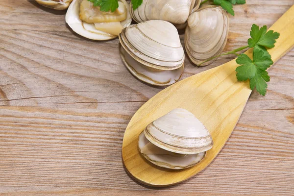 Meeresfrüchte, Venusmuscheln auf Holzgrund — Stockfoto