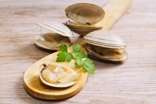 Mariscos, almejas sobre fondo de madera — Foto de Stock