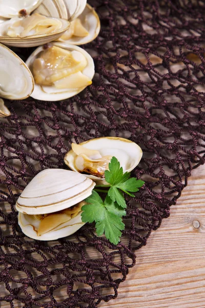 Almejas en la red de pesca — Foto de Stock