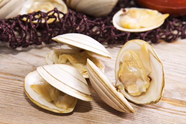 Skaldjur, musslor på fisknät — Stockfoto
