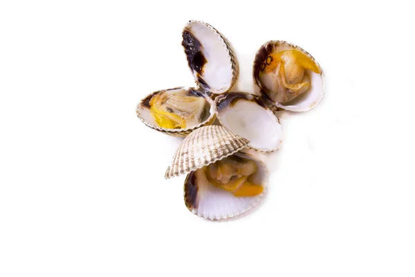 Frutos do mar, isolado saboroso cockles — Fotografia de Stock