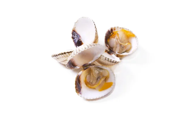 Owoce morza, na białym tle sercówki smaczne — Zdjęcie stockowe