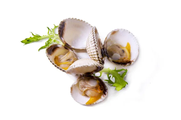 Frutti di mare, isolati gustosi cockles — Foto Stock