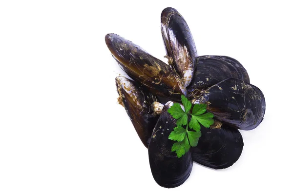 Frutti di mare, cozze isolate su bianco — Foto Stock