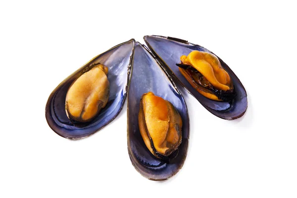 Frutti di mare, cozze isolate su bianco — Foto Stock