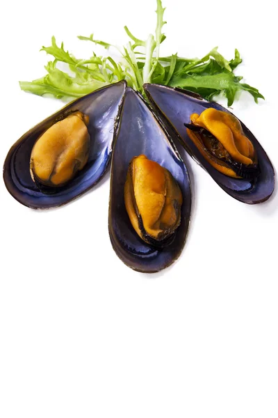 Seafood, mussels isolated on white — Stock Photo, Image