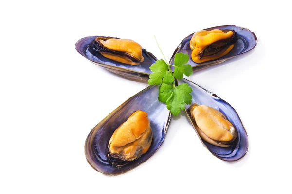 Seafood, mussels isolated on white — Stock Photo, Image