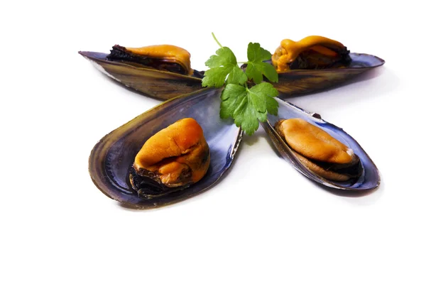 Fruits de mer, moules isolées sur blanc — Photo