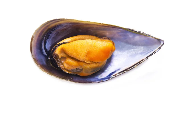 Mariscos, mejillones aislados en blanco — Foto de Stock