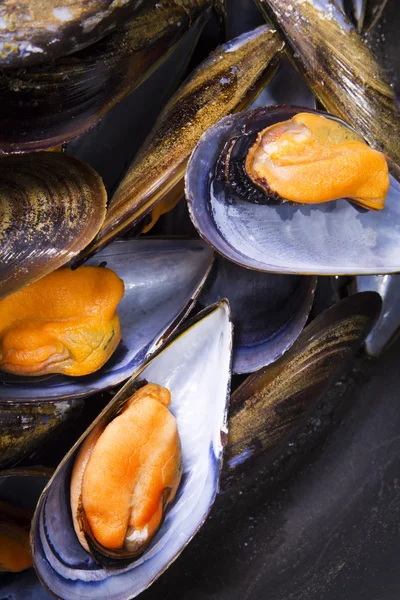 Fruits de mer, moules isolées sur blanc — Photo