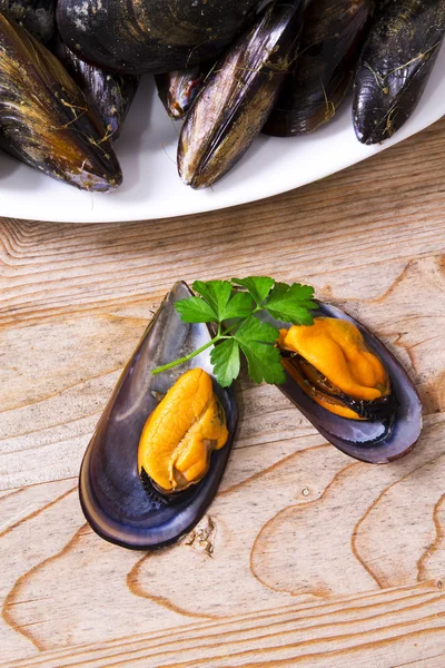 Seafood, mussels on wooden background — Stock Photo, Image