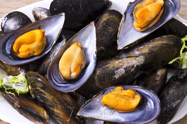 Seafood, mussels on wooden background — Stock Photo, Image