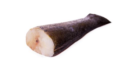 Hake izole beyaz kuyruk