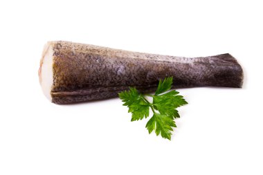 Hake izole beyaz kuyruk