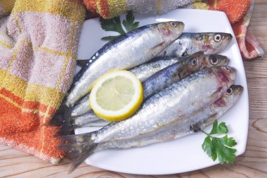 Balık: lezzetli taze sardalye