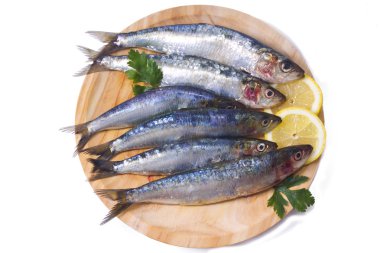 Balık: lezzetli taze sardalye