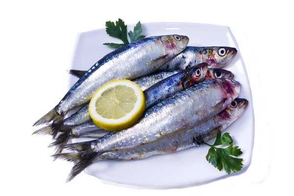 Pescado, sardinas blanco aislado — Foto de Stock