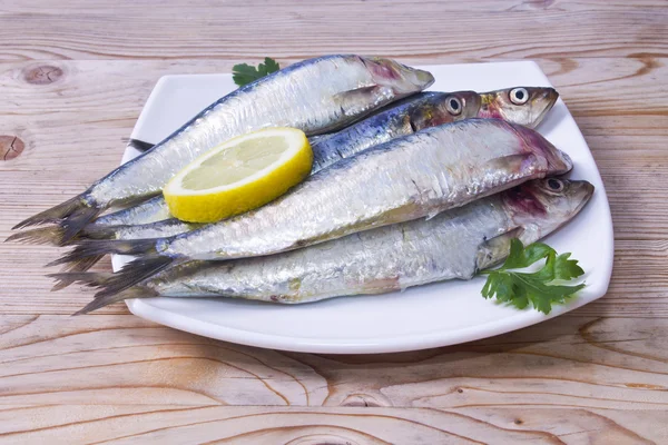 鱼︰ 美味的新鲜沙丁鱼 — 图库照片